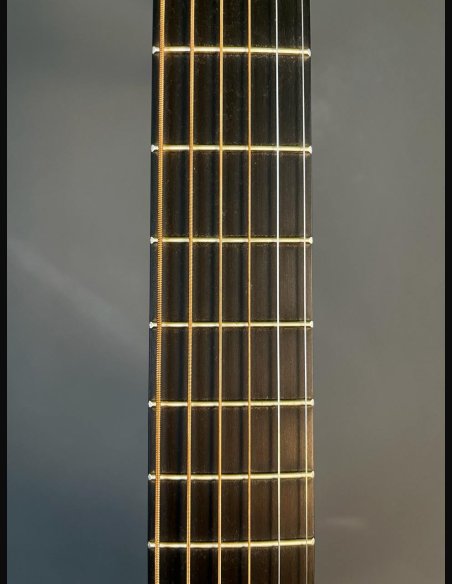 Martin LX1 RE Little Martin SN:00729789592574