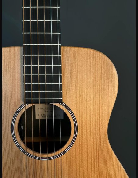 Martin LX1 RE Little Martin SN:00729789592574