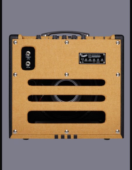 Supro Delta King 10 Tweed &  Black Combo Valve Amp