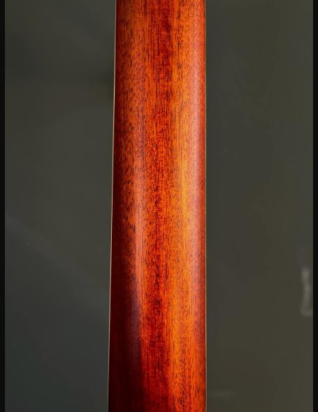 Eko TRI A300 E Cutaway Chitarra Folk Elettrificata