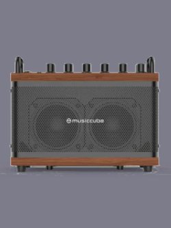 Music Cube Tiny Box D2 Oak Brown 50 W Multi Functional PA