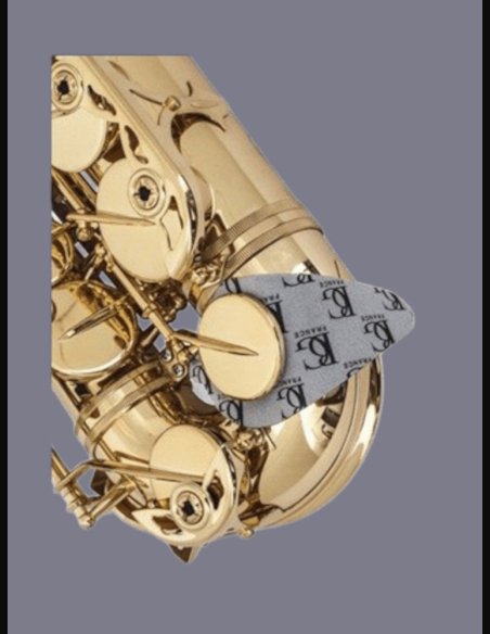 BG A65SB Asciuga Tamponi Singolo Sax Alto