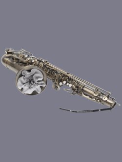 BG A30T Body Swab Sax Tenore 2