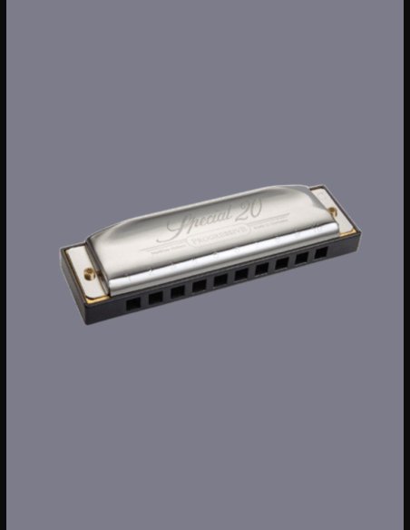 Hohner Armonica Special 20 560/20 D