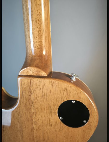 Gibson Les Paul Standard '50s P90 Gold Top