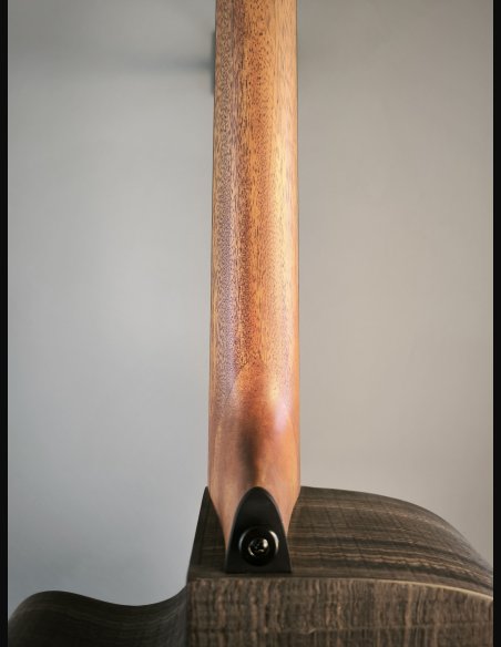 LAG Savage ACE Chitarra Folk Elettrificata