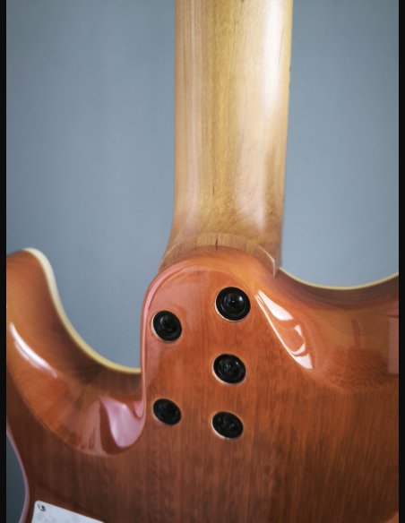 Esteve 11 Manuel Adalid Chitarra Classica