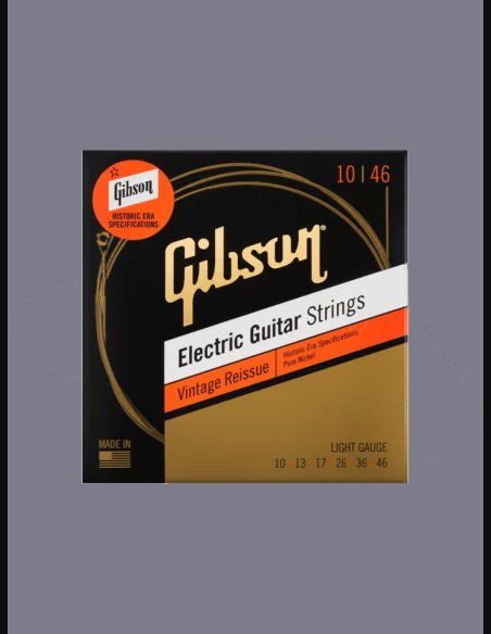 Gibson SEG-HWR10 10-46