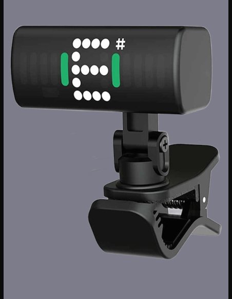 Swiff Audio Rechargeable A10 R Mini Tuner 360°