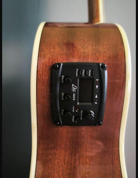 Eko NXT A100CE Natural Chitarra Folk Elettrificata