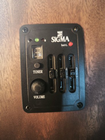 Sigma SE GMCE Grand OM Cutaway