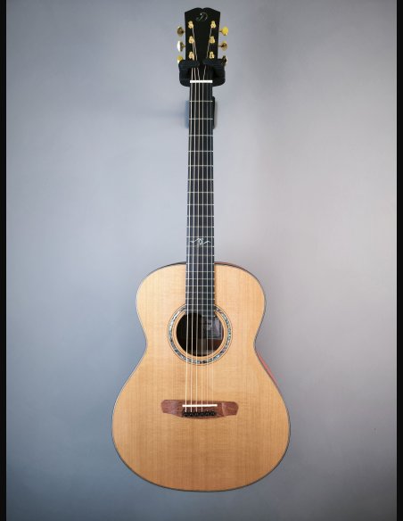 Dowina Master Series Cocobolo GD
