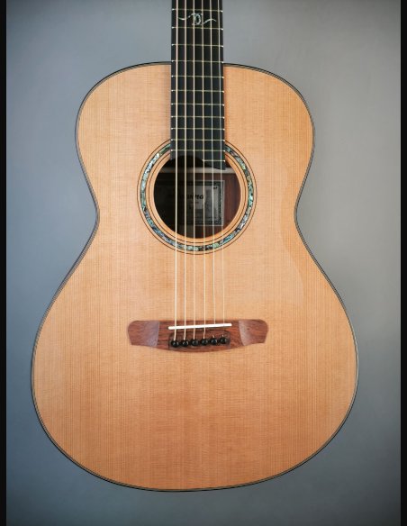Dowina Master Series Cocobolo GD