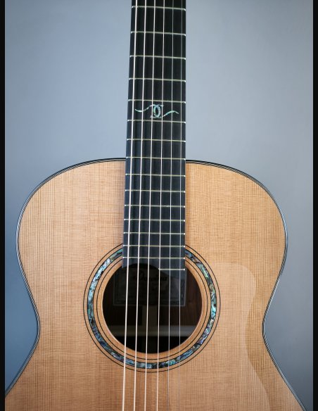 Dowina Master Series Cocobolo GD