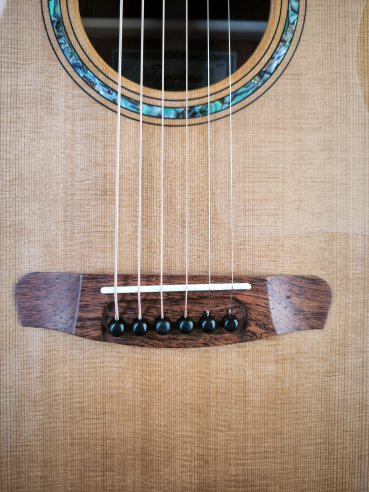Dowina Master Series Cocobolo GD