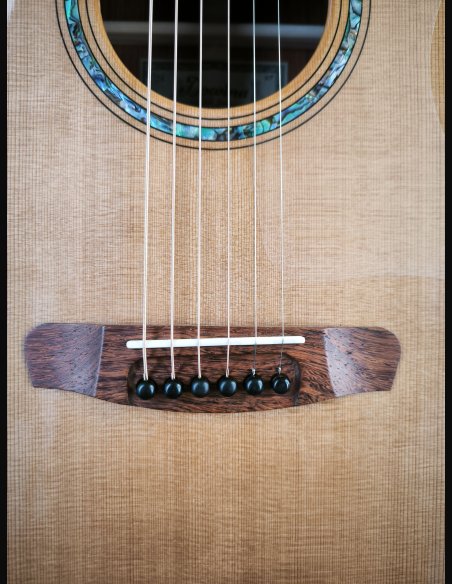 Dowina Master Series Cocobolo GD