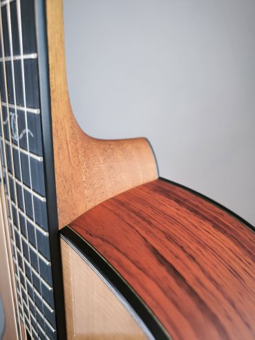 Dowina Master Series Cocobolo GD