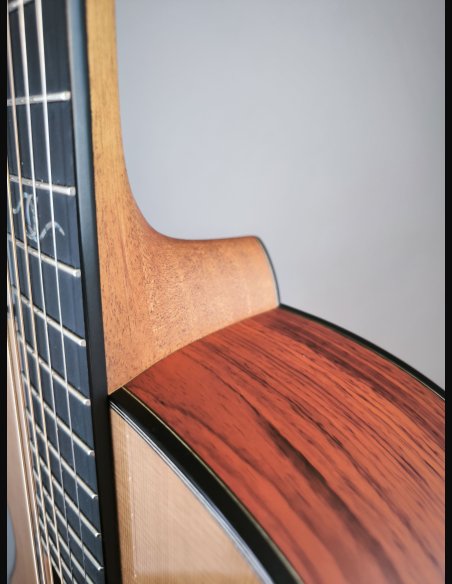 Dowina Master Series Cocobolo GD