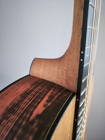 Dowina Master Series Cocobolo GD
