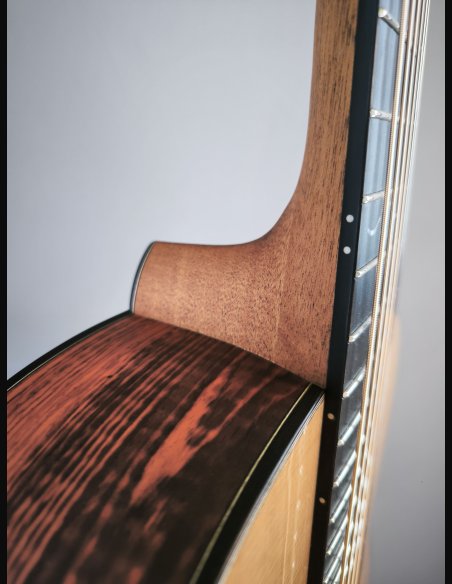 Dowina Master Series Cocobolo GD