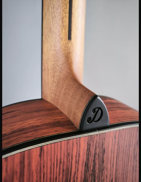 Dowina Master Series Cocobolo GD