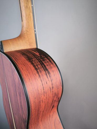 Dowina Master Series Cocobolo GD