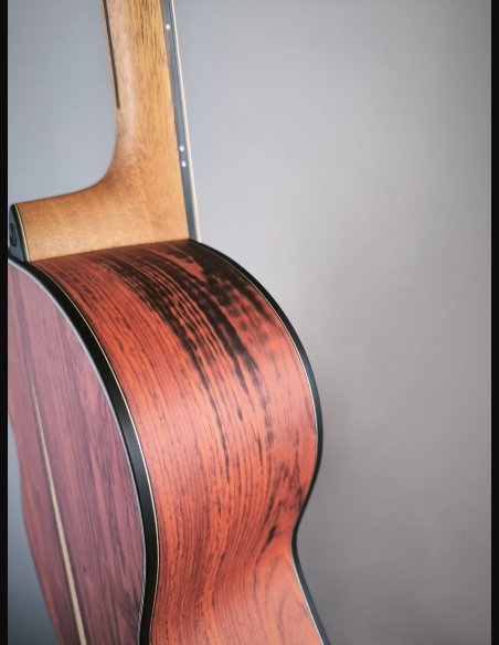 Dowina Master Series Cocobolo GD