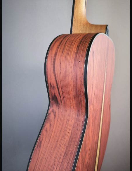 Dowina Master Series Cocobolo GD
