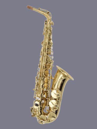 L.A. Ripamonti 5030 Sax Alto