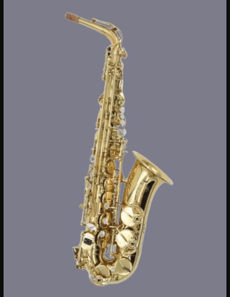 L.A. Ripamonti 5030 Sax Alto