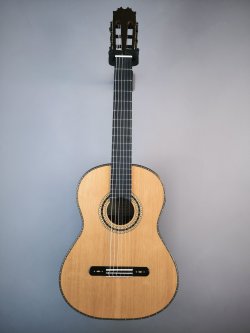 Antonio de Toledo Floresida 64 Cedro 2