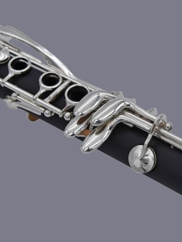Ripamonti 50 1R Clarinetto Bb 17/6