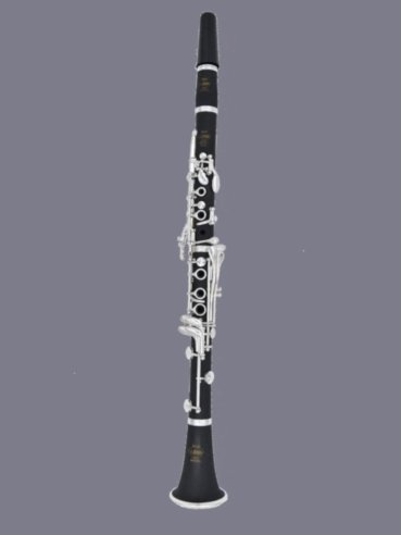 Ripamonti 50 1SL Clarinetto Bb 17/6