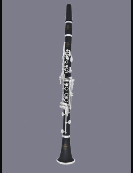 Ripamonti 50 1SL Clarinetto Bb 17/6