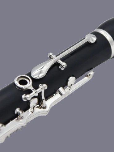 Ripamonti 50 1SL Clarinetto Bb 17/6