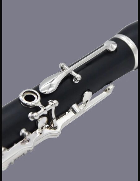 Ripamonti 50 1SL Clarinetto Bb 17/6