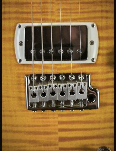 PRS SE DGT Birds MT McCarty Tobacco Sunburst