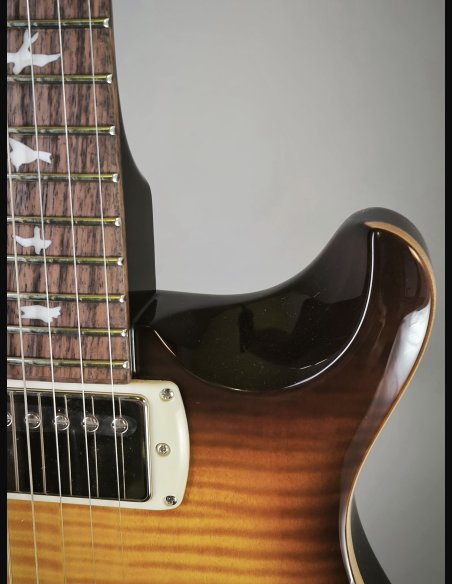 PRS SE DGT Birds MT McCarty Tobacco Sunburst