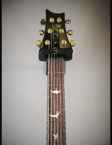 PRS SE DGT Birds MT McCarty Tobacco Sunburst