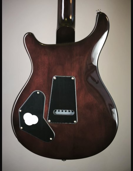 PRS SE DGT Birds MT McCarty Tobacco Sunburst