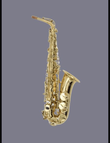 Ripamonti Master 5030 Sax Alto Laccato