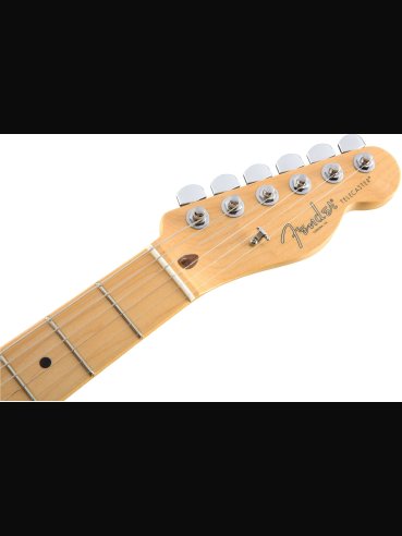 Fender American Professional Telecaster Maple Fingerboard Butterscotch Blonde