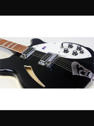 Rickenbaker 360 JG