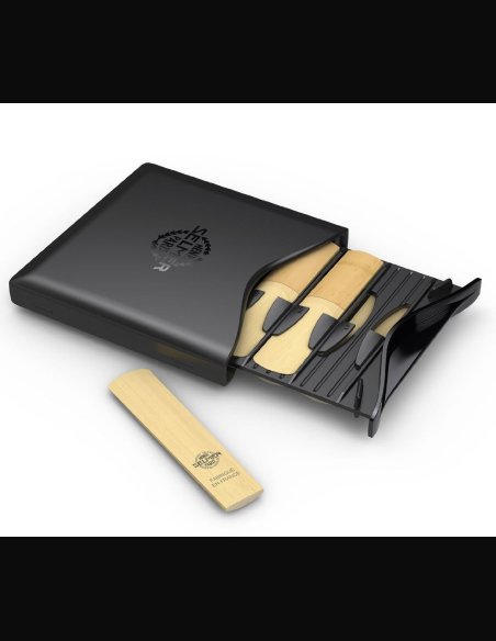 Selmer Ance Sax Alto 3