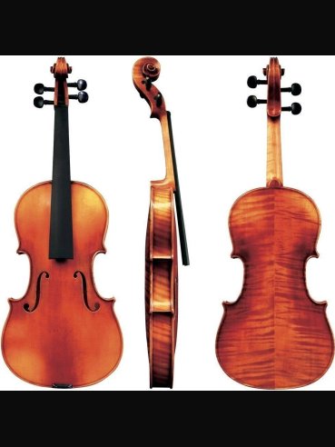 Gewa GS400081.100 Violino Maestro 6 4/4