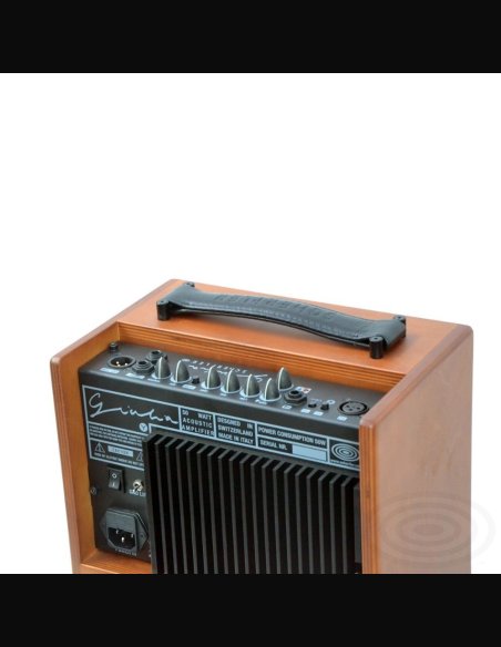 Schertler Giulia Wood Classic Combo Amplificatore 50 Watts Chitarra Acustica