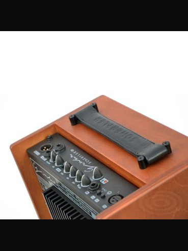 Schertler Giulia Wood Classic Combo Amplificatore 50 Watts Chitarra Acustica