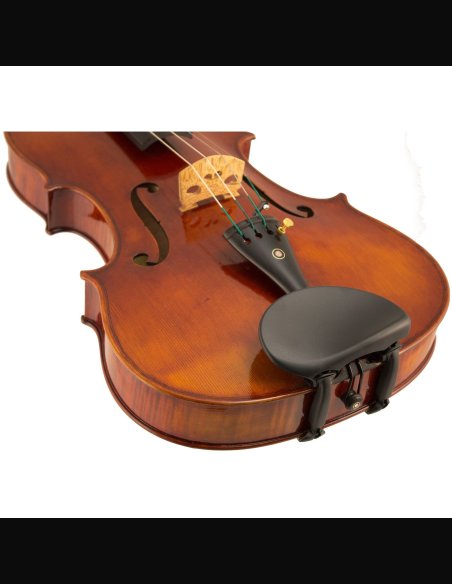 Wittner Augsburg Mentoniera 4/4