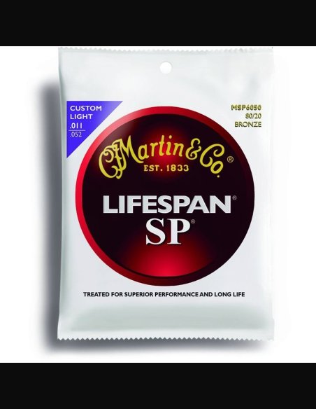 Martin MSP6050 LifeSpan 011-052 Muta Corde Chitarra Folk