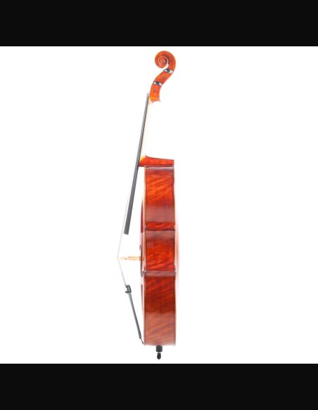 Vhienna CE44 Concerto Violoncello 4/4 c/bag